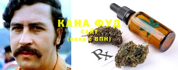 гидропоника Алзамай