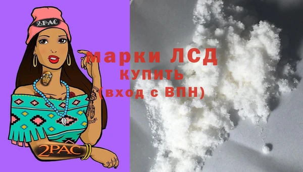 гашик Пересвет